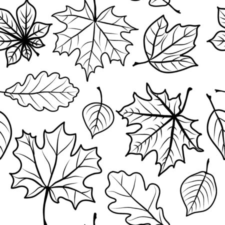 Foliage of different breeds set  Seamless black and white のイラスト素材