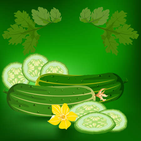 Cucumbers. Label, there is a place for your text. Healthy food.のイラスト素材