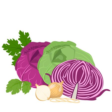 Cabbage and onions, whole and cut into slices on a white background.のイラスト素材