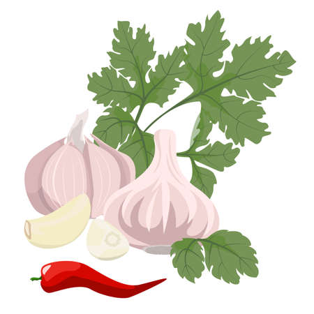 Cloves of garlic, parsley and hot red pepper. Healthy food.のイラスト素材