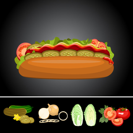 Hot dog with vegetables and ingredients on a black background.のイラスト素材