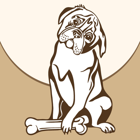 Dog sitting on the ground and watches bone.のイラスト素材