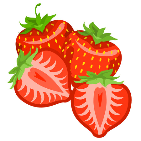 Healthy eating. Fruits and berries are tasty and healthy.のイラスト素材