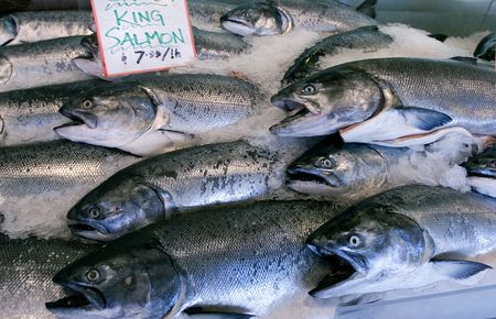 Wild King salmon in Pike Place market, Seattleの写真素材