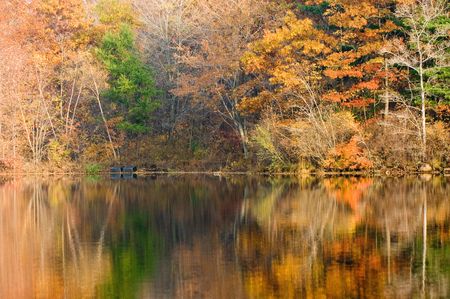 Multicolored autumnの写真素材