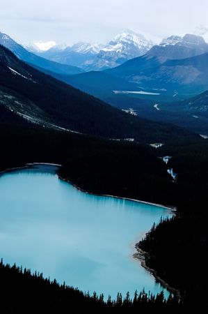 Peyto lake, Banff national park, Alberta, Canadaの写真素材