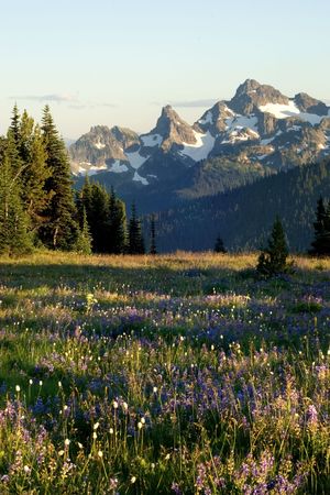 Sunrise point, Mount Rainier National park, Washingtonの写真素材