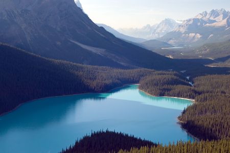 Peyto lake, Banff National park, Canadaの写真素材