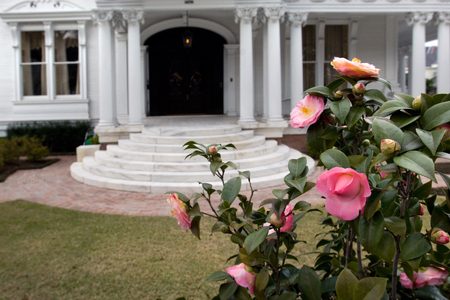 White mansion with flowers on foreground in New Orleans' Garden districtの写真素材