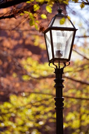 Vanderbuilt University campus at fall in Nashville Tennessee