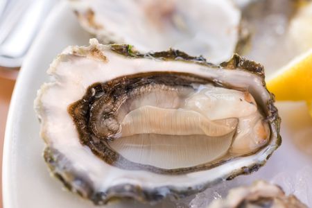 Fresh half-shell oyster on the  plate in Seattle restaurant. Shallow DOFの写真素材