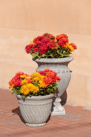Fall flowers outside gift shop in Old Town, Albuquerqueの写真素材