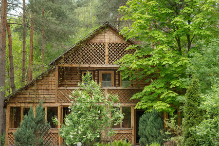 Cozy wooden house in the coniferous forestのeditorial素材