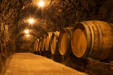 Oak barrels in the tunnel of Tokaj winery cellarのeditorial素材