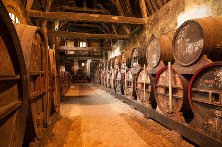 Row of oak barrels in Calvados distillery  Normandy
