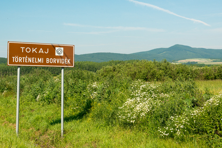Touristic sign of famous Tokaj wine region, Hungaryの写真素材