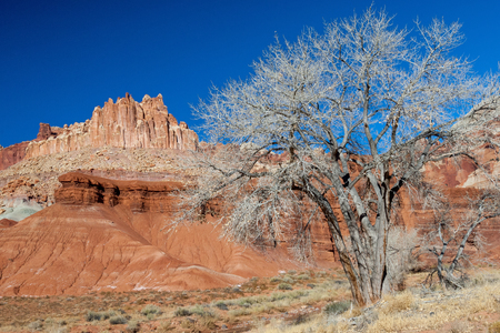 The Castle view in Capitol Reef National park, Utahの写真素材