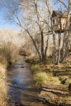 Treehouse and mountain stream in the rural Utah, USAの写真素材