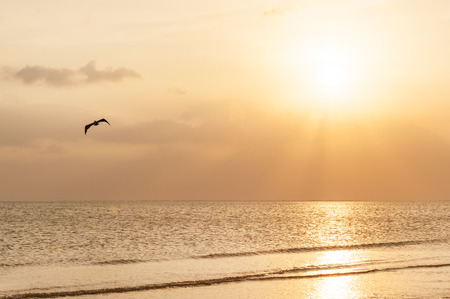 Sunset on pristine sandy beach of Fort Meyers, Floridaの写真素材