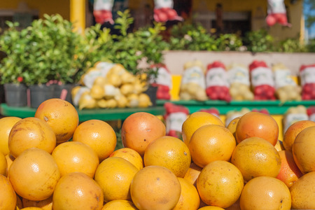 Roadside market stall with oranges in Floridaの写真素材