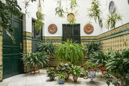Cozy courtyard with plants and fountains of traditional Spanish houseの写真素材