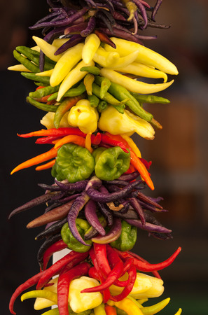 String of colorful peppers on Pike Place market, Seattleの写真素材