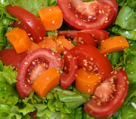 Vegetable salad with lettuce, tomato and carrotの写真素材