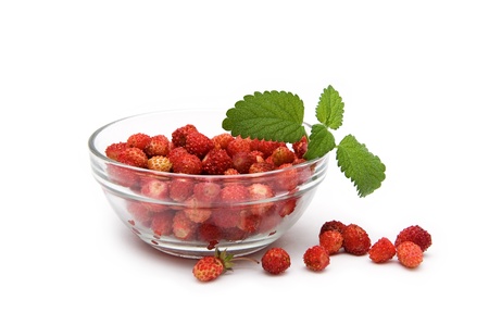 Wild strawberries in glass bowl isolated on a white backgroundの写真素材