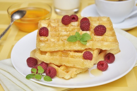 Waffles with honey and raspberry on white plateの写真素材