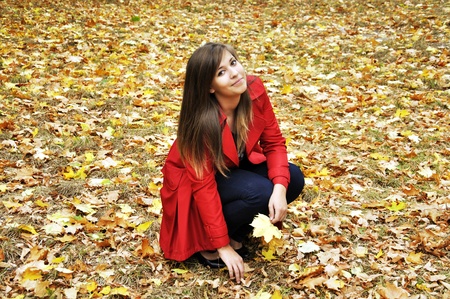 beautiful young girl picks up the maple leaves in autumn parkの写真素材