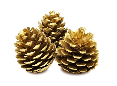 three golden pine cones isolated on the white background, with clipping pathの写真素材