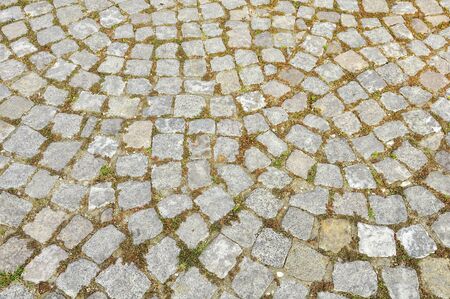 Paving stones texture with green grassの写真素材