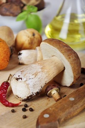 Some mushrooms on wooden cutting board, spices, oil and knifeの写真素材