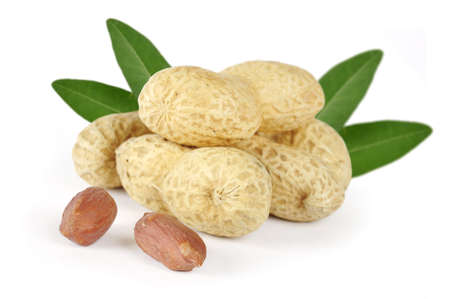 tasty peanuts with leaves, isolated on white backgroundの写真素材