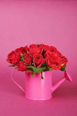 bouquet of red roses in a pink watering can on a pink backgroundの写真素材