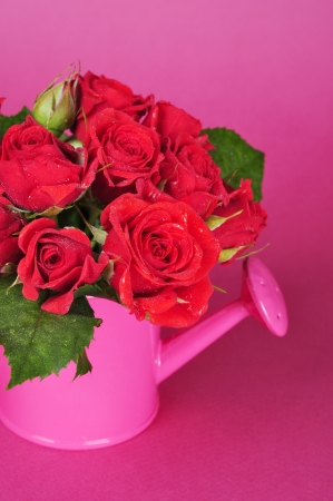 bouquet of red roses closeup on pink backgroundの写真素材