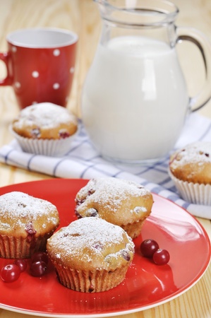 Cranberry muffins on red plate with fresh berries and milk in a glass jugの写真素材