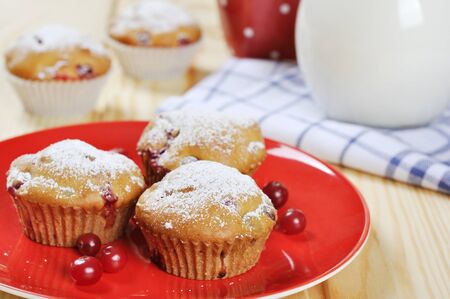 Cranberry muffins on red plate with fresh berries and milk in a glass jugの写真素材