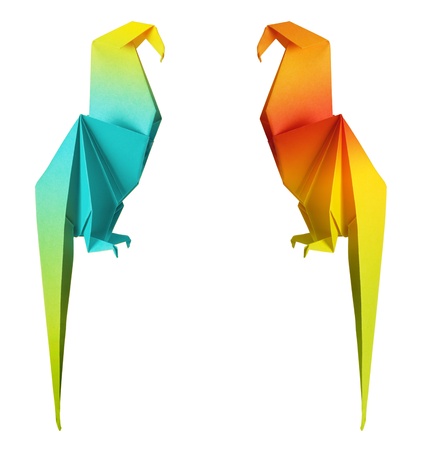 origami parrot isolated on a white backgroundの写真素材