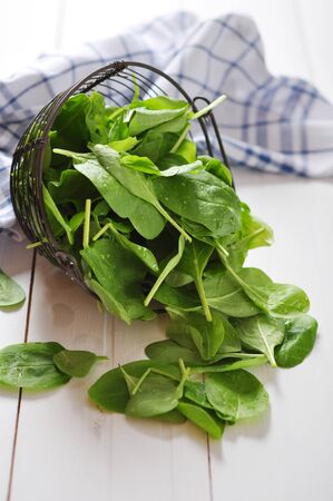 Fresh spinach leaves in a vintage metal basket on a white wooden backgroundの写真素材
