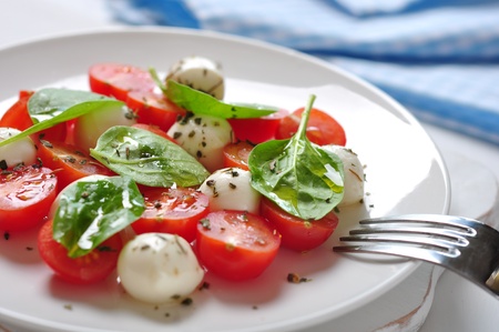 Caprese Salad on white plate closeup. Small shallow DOF.の写真素材