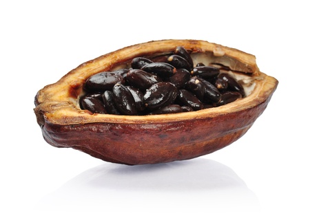 Fresh cacao fruit isolated on a white background. Clipping path includedの写真素材