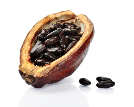 Fresh cacao fruit isolated on a white backgroundの写真素材