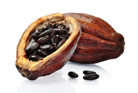 Fresh cacao fruit isolated on a white backgroundの写真素材