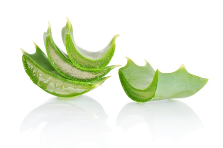 aloe vera fresh leaves isolated on white, clipping path includedの写真素材