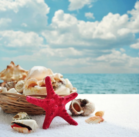 Starfish and seashells on the beach with blue skyの写真素材