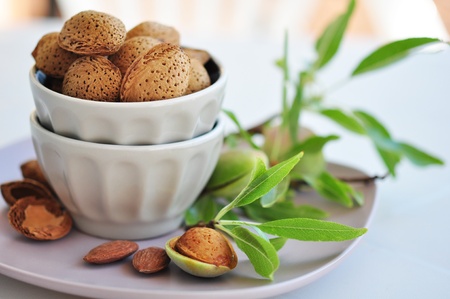 Unpeeled almonds nuts in ceramic bowl with  twigs of almond treeの写真素材