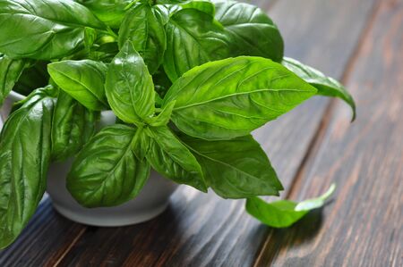 fresh green basil on a wooden table closeupの写真素材