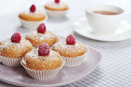 Diet muffins with bran  and fresh raspberries on plateの写真素材