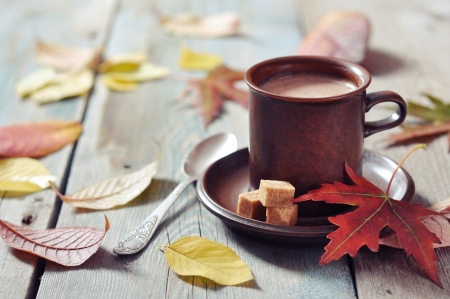 Cup of hot chocolate with brown sugar on wooden backgroundの写真素材